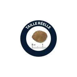 ADVANCE - Croquettes chien maxi light - advance 12 kg