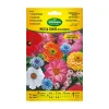 AGREEN - À propos des graines mélangées hautes fleurs annuelles 300592bolsh daccord - agreen