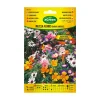 AGREEN - À propos des graines mixtes fleurs annuelles naines 300593bolsh daccord - agreen