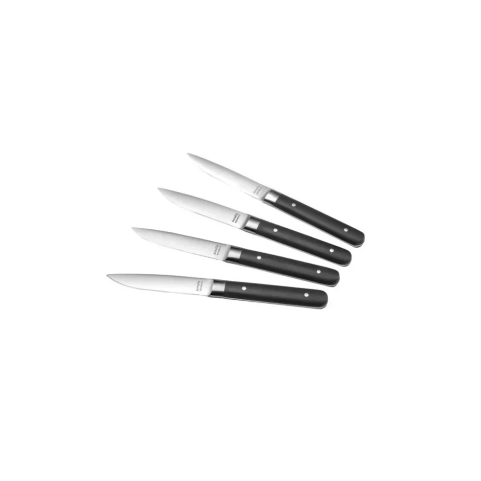 Amefa coffret de 4 couteaux à steak - 4918aamb02br4