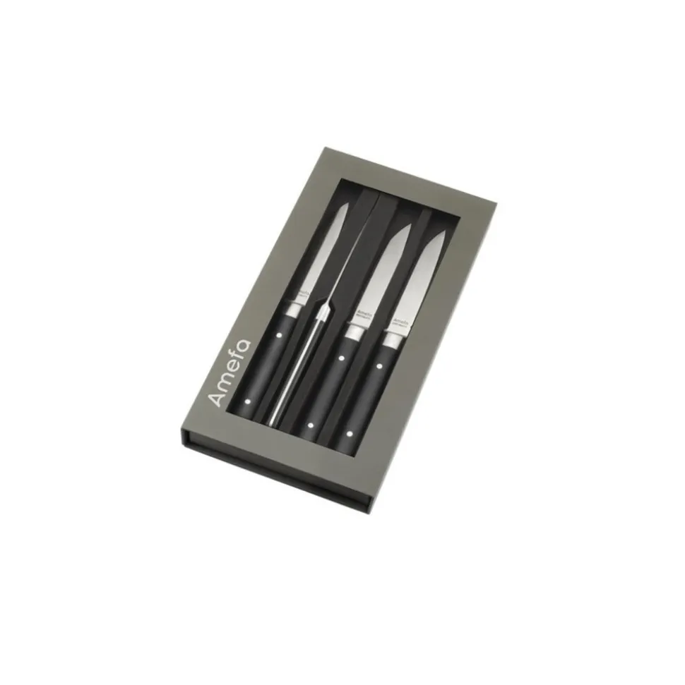 Amefa coffret de 4 couteaux à steak - 4918aamb02br4