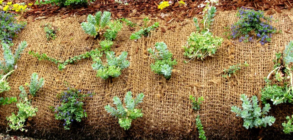 AQUAGART - 140 m filet anti-érosion en fibre de coco 1 m de large, film pour bassin de jardin, toile en fibre de noix de coco 750 g