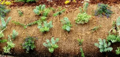 AQUAGART - 20 m filet anti-érosion en fibre de coco 1 m de large, film pour bassin de jardin, natte en fibre de coco 750 g