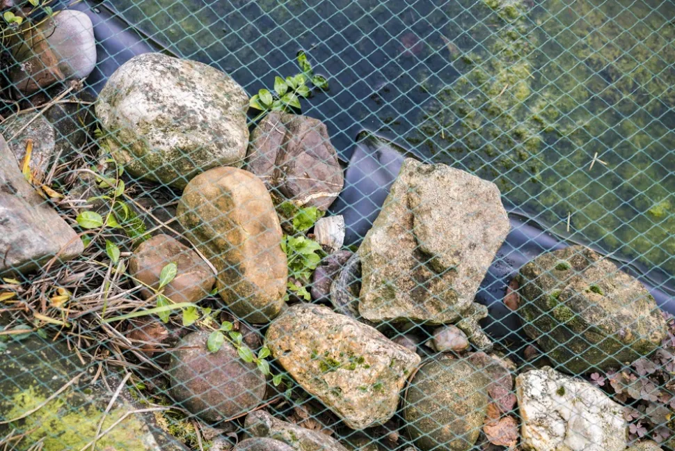 AQUAGART - Filet de bassin 16 m x 12 m filet à feuilles, filet, filet de protection contre les feuilles, robuste
