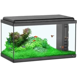 AQUATLANTIS - Aquarium en verre, noir : L.60 x P.30 x H.34 cm - 61 litres