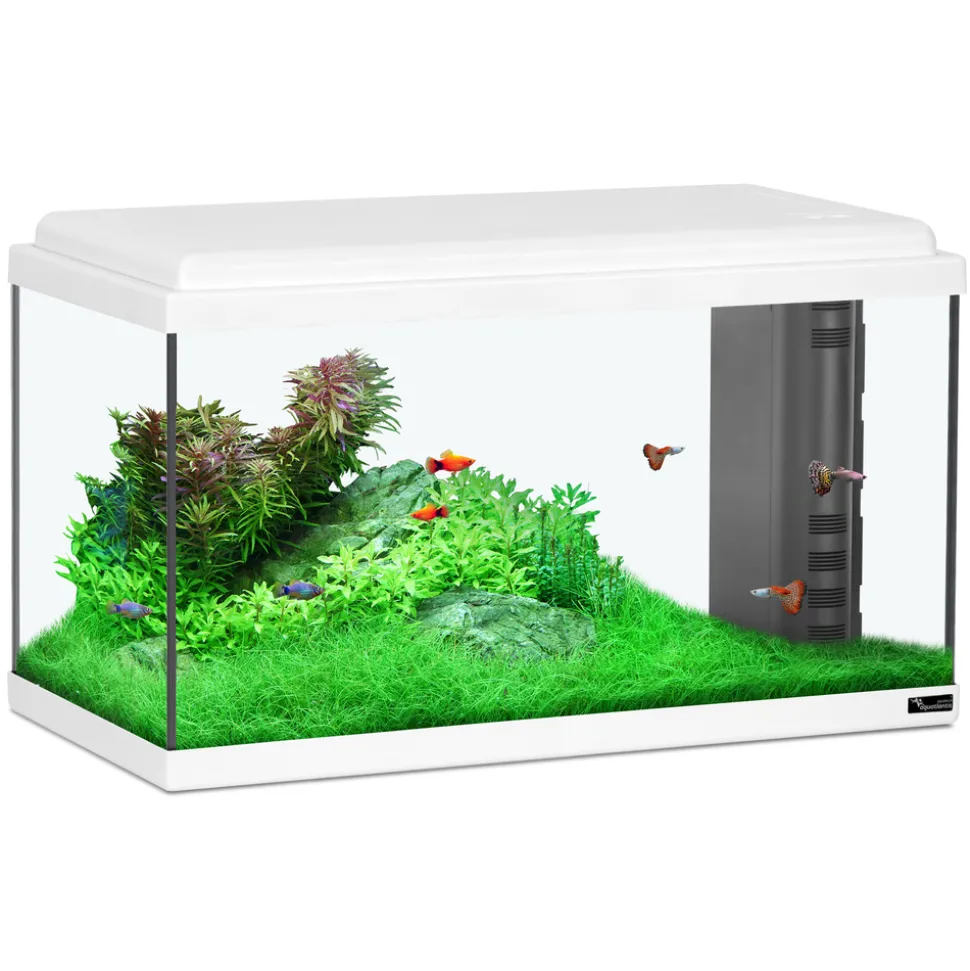 AQUATLANTIS - Aquarium en verre, blanc : L.60 x P.30 x H.34 cm - 61 litres