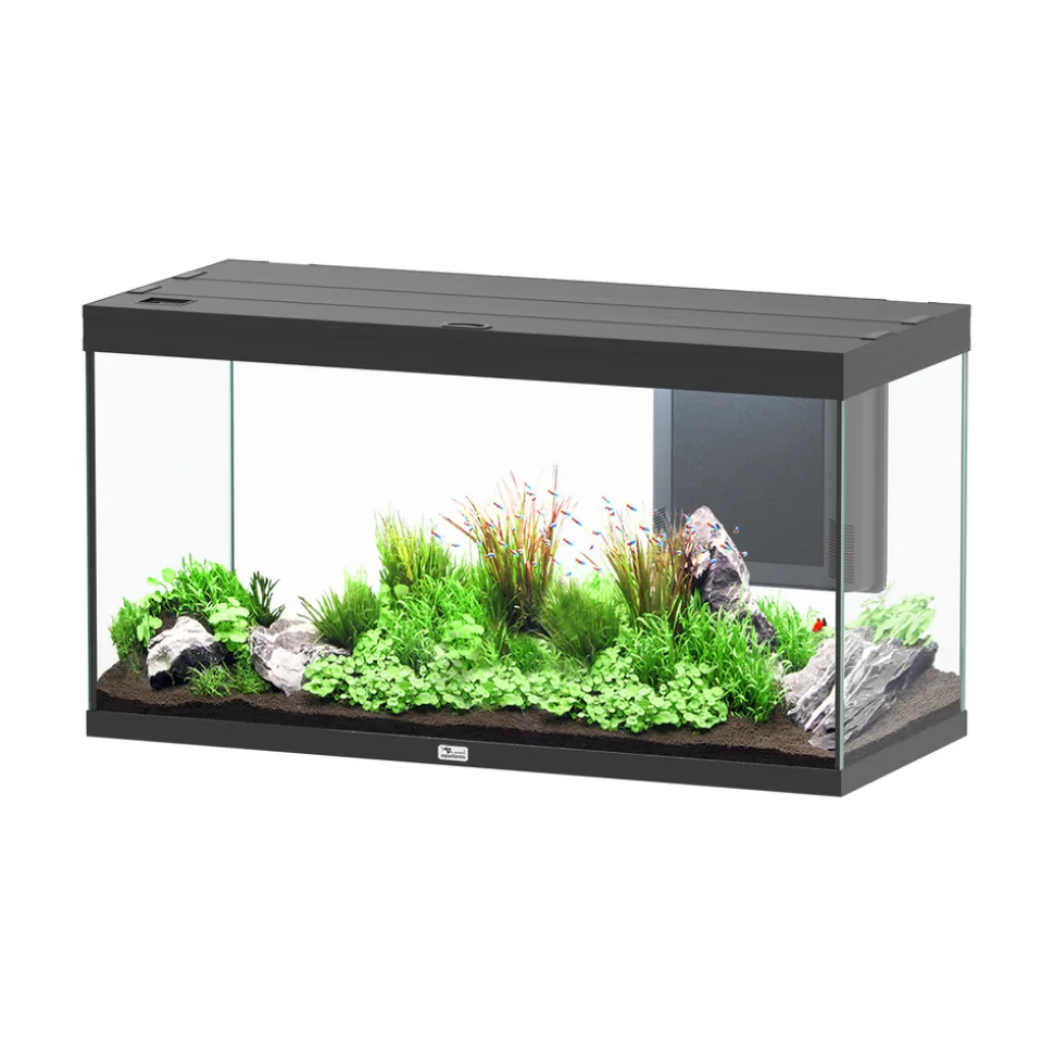 AQUATLANTIS - Aquarium Volga 350 noir Led 2.0 équipé