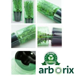 ARBORIX - 2 x rose classique - rosa 'witte tros'