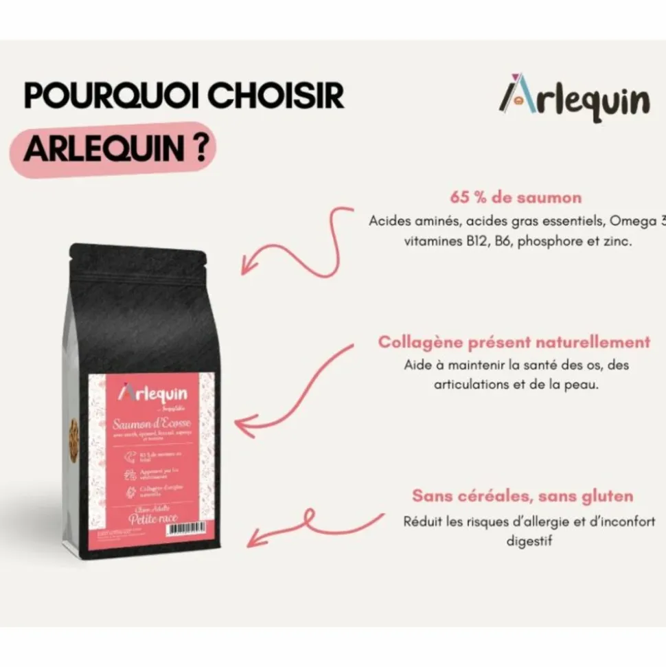 ARLEQUIN IRRESISTIBLE - Arlequin irrésistible petite race saumon d'ecosse sans céréales 6 kg