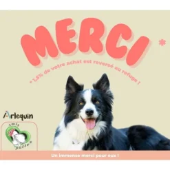 ARLEQUIN ORIGINELLE - Croquette chien sans céréales light arlequin originelle dinde 12 kg