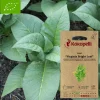 ASSOCIATION KOKOPELLI - Graines bio à semer - tabac virginia bright leaf