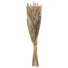 ATMOSPHERA - Bouquet de fleurs séchées queue de lapin ivoire d. 18 x h. 58 cm