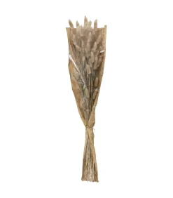 ATMOSPHERA - Bouquet de fleurs séchées queue de lapin ivoire d. 18 x h. 58 cm