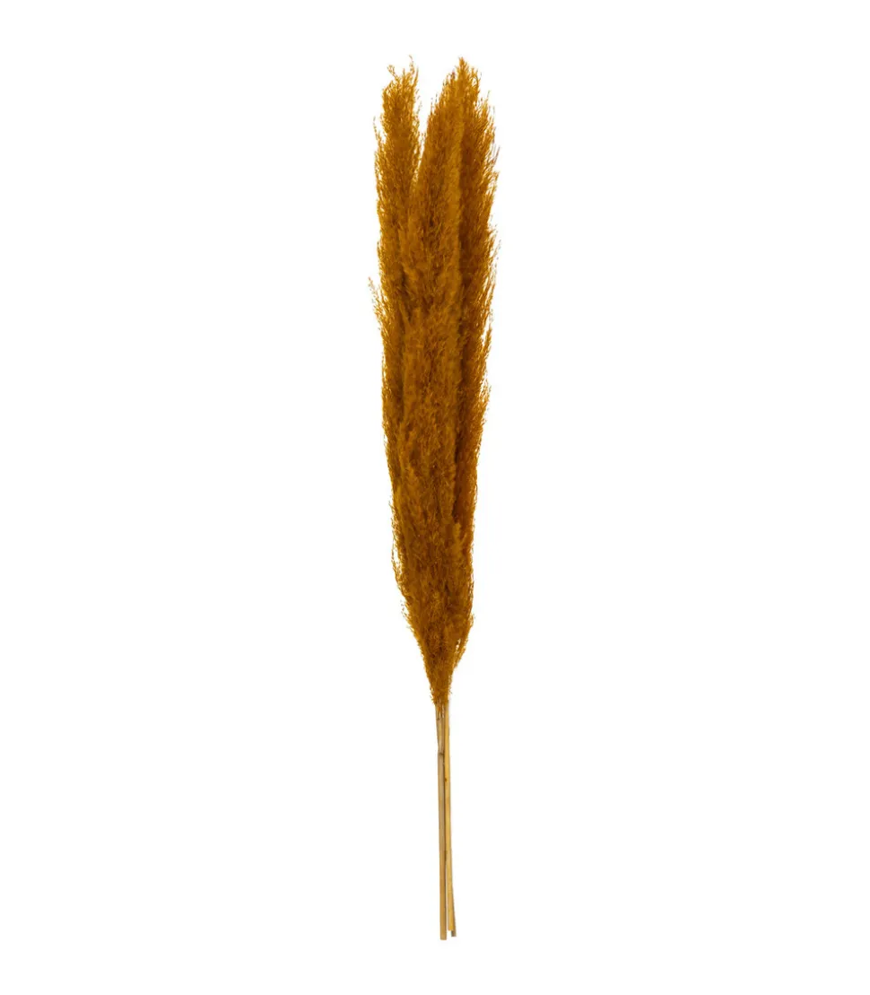 ATMOSPHERA - Set de 3 branches de pampa séchée ocre h 109 cm
