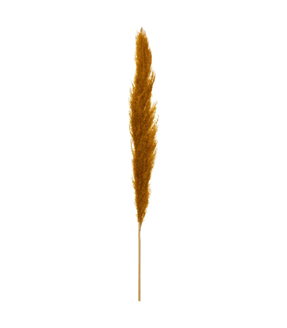 ATMOSPHERA - Set de 3 branches de pampa séchée ocre h 109 cm