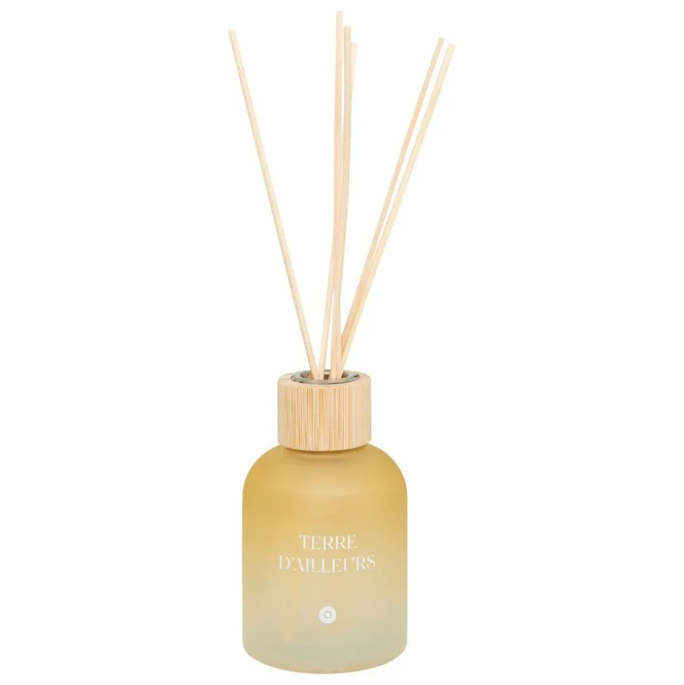 ATMOSPHERA CREATEUR D'INTERIEUR - Diffuseur de parfum "terre d ailleurs" 150ml