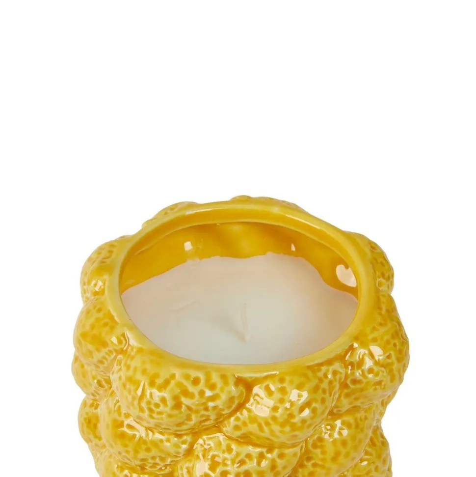ATMOSPHERA CREATEUR D'INTERIEUR - Bougie parfumée "yucatan" agrume 400g