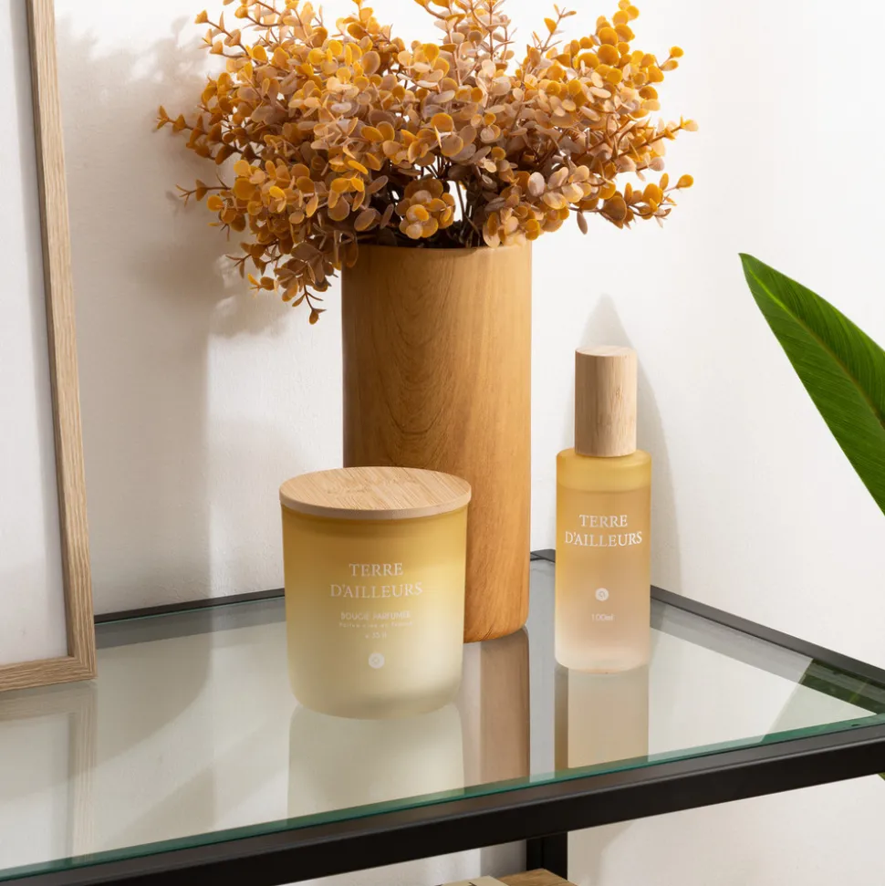 ATMOSPHERA CREATEUR D'INTERIEUR - Spray d ambiance "terre d ailleurs" 100ml