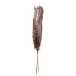ATMOSPHERA CREATEUR D'INTERIEUR - Set de 3 fleurs séchées "pampa naturelle" - h110 cm