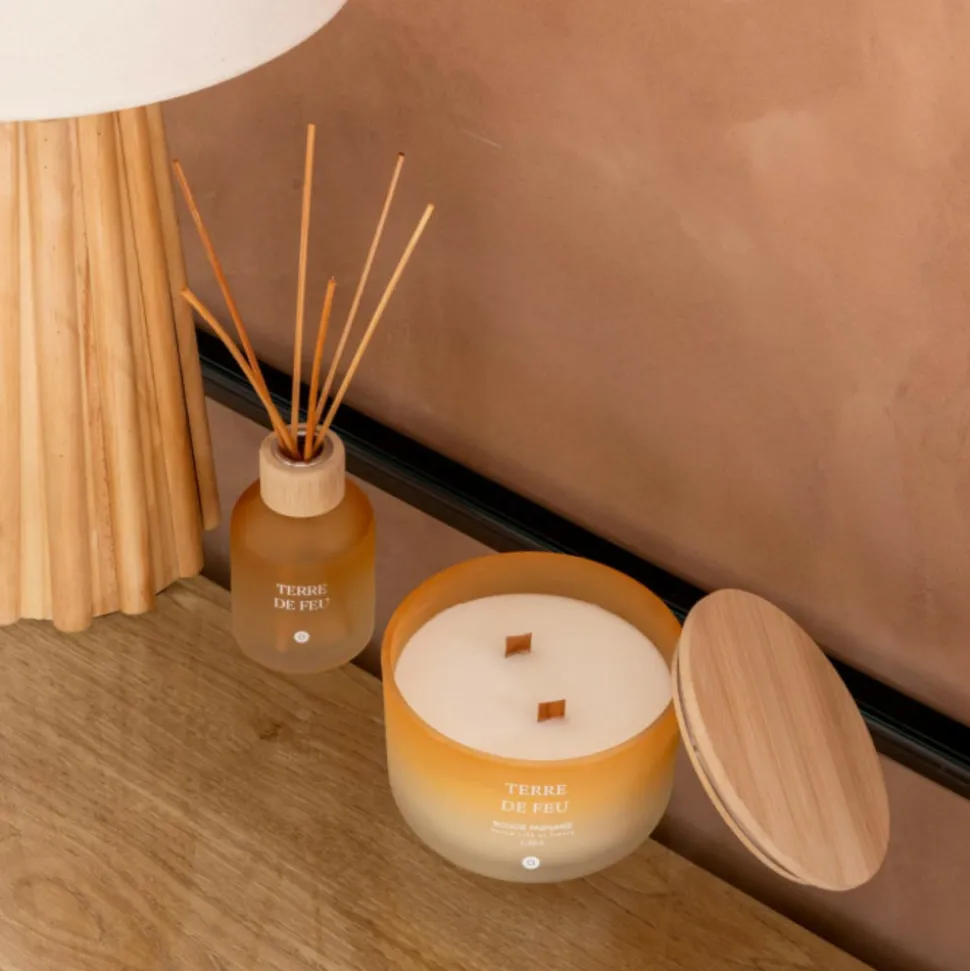 ATMOSPHERA CREATEUR D'INTERIEUR - Diffuseur de parfum "terre de feu" 150ml