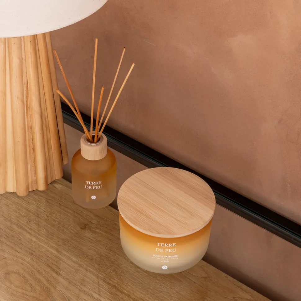 ATMOSPHERA CREATEUR D'INTERIEUR - Diffuseur de parfum "terre de feu" 150ml