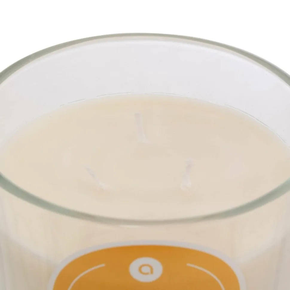 ATMOSPHERA CREATEUR D'INTERIEUR - Bougie parfumée " floa" vanille 610g