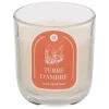 ATMOSPHERA CREATEUR D'INTERIEUR - Bougie parfumée " floa" ambre 210g