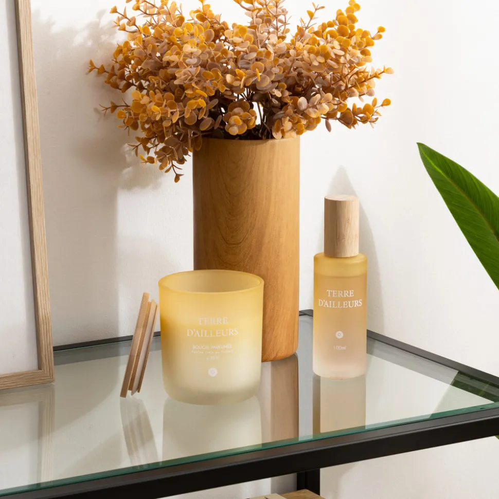 ATMOSPHERA CREATEUR D'INTERIEUR - Bougie parfumée "terre d ailleurs" pétales de musc 255g