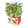 BATLLE - Coffret batlle piments épicés