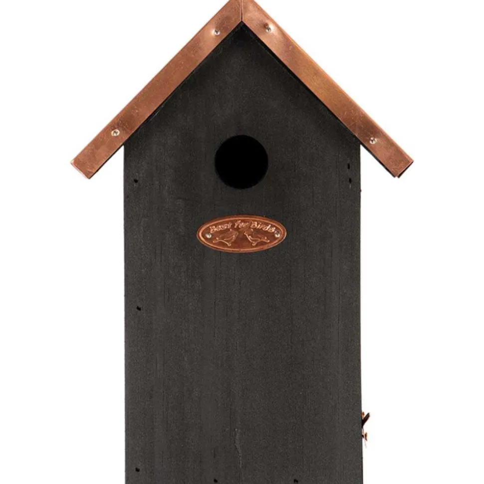 BEST FOR BIRDS - Nichoir à oiseaux en pin et cuivre mésange bleue