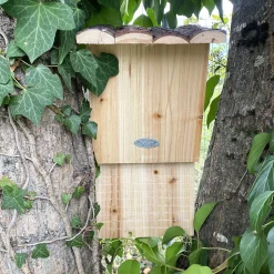 BEST FOR BIRDS - Nichoir pour chauve souris avec toît en écorce
