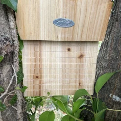 BEST FOR BIRDS - Nichoir pour chauve souris avec toît en écorce