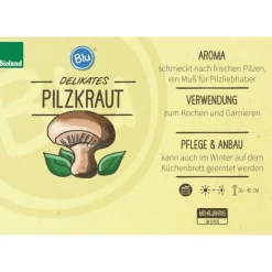 BIOLAND - Herbe aux champignons en qualité bio - rungia klossii - plante aromatique en pot de 12cm