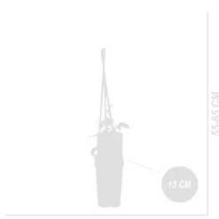 BLOOMIQUE - Lot de 2 - humulus lupulus - plante de houblon - pot 15 cm - 70-80 cm de haut