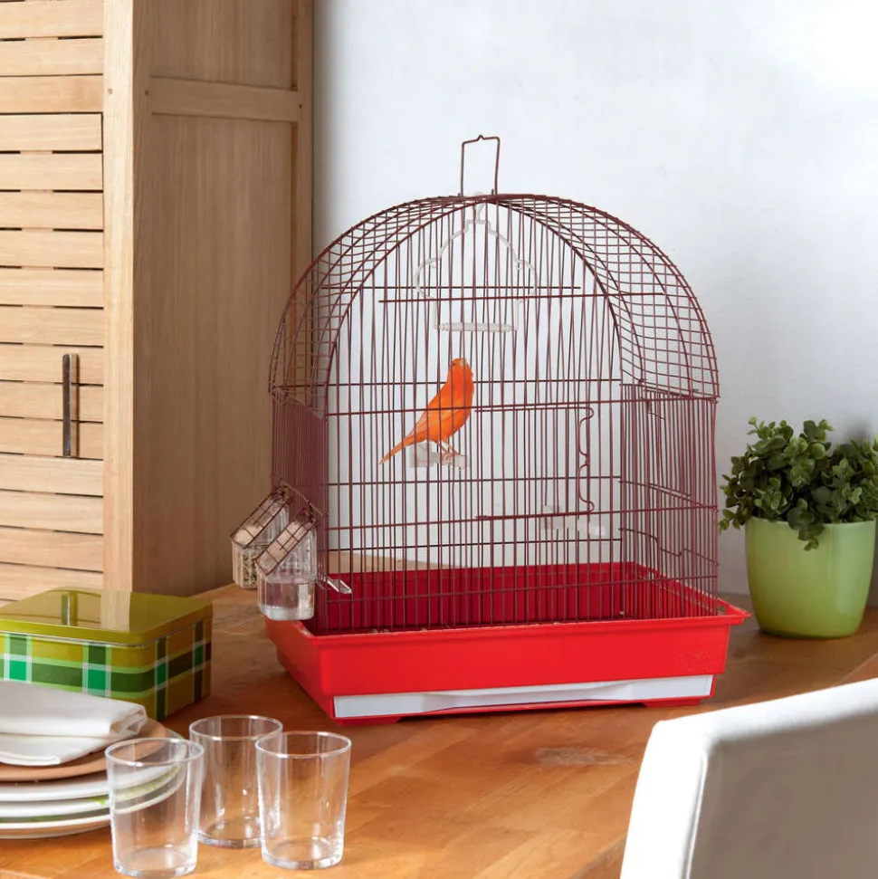 Cage Jojo en métal et plastique : Longueur 43 cm