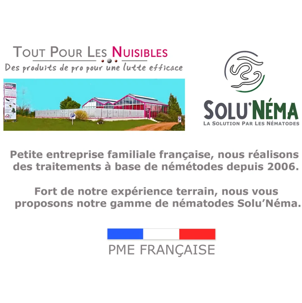 Capnode du pecher - 5 millions Nématodes (SC)