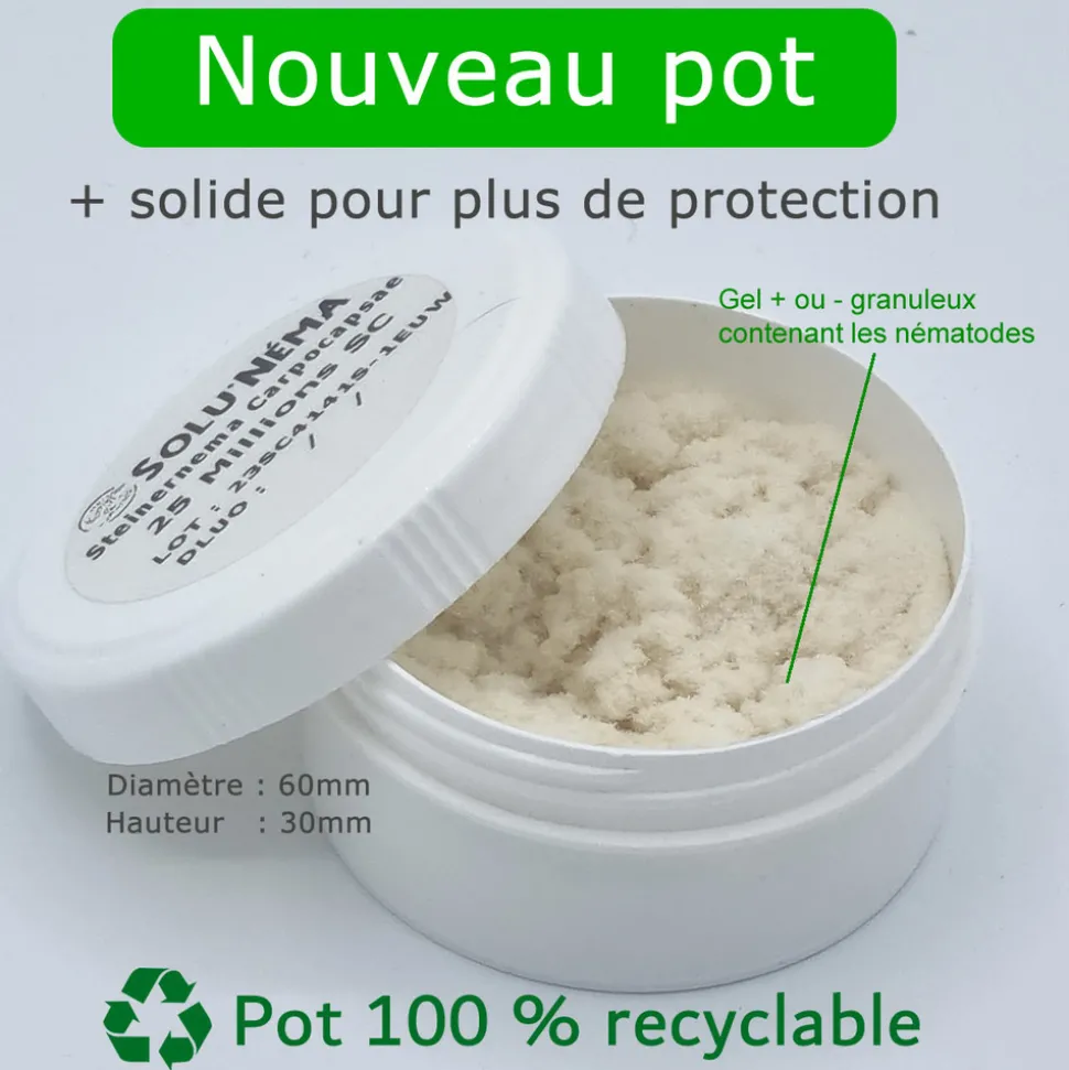 Capnode du pecher - 25 millions nématodes (sc)