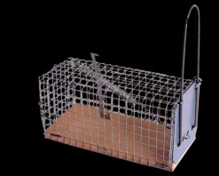 CAUSSADE - Casnassbn - nasse à souris - en bois fsc - 1 nasse