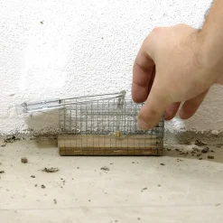 CAUSSADE - Casnassbn - nasse à souris - en bois fsc - 1 nasse