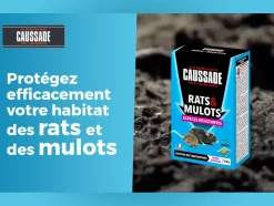 CAUSSADE - Caussade anti rats & mulots - efficacité radicale - lieux sec - 6 sachets céréales - prêt à l'emploi - 150g carmuc150n