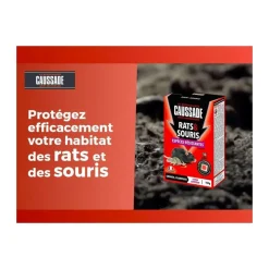 CAUSSADE - Caussade anti rats & souris - efficacité radicale - lieux secs & humides - 10 sachets pâtes fluorescents - 150g - carsptfluo150