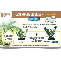 CEYS - Engrais liquide bonsais 250ml /nc - fertiligene