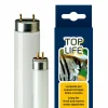 Éclairage pour aquarium ferplast toplife 24w lumière du jour au néon rehausse les couleurs
