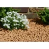 CLASSGARDEN - Gravier jaune saumon 10-15 pack de 5 m² - 20 sacs - 400 kg