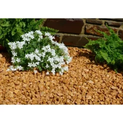 CLASSGARDEN - Gravier jaune saumon 10-15 pack de 5 m² - 14 sacs - 240 kg