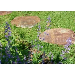 CLASSGARDEN - Pas japonais corten irrégulier - pack de 20 pièces