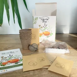 Coffret : je fais pousser mes thés du monde bio