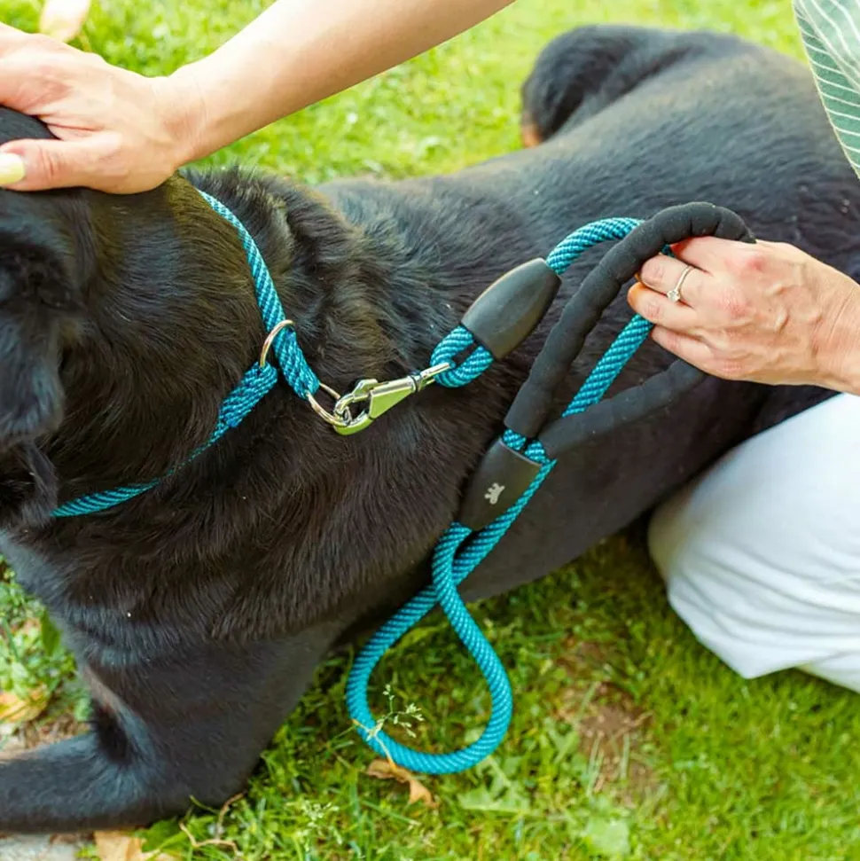 Collier semi-étranglé pour chiens sport extreme cs13/60, longe en nylon robuste, ajustable, rose-noir