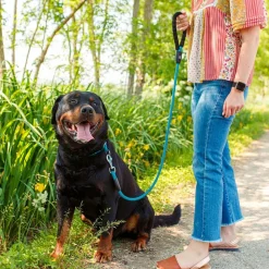 Collier semi-étranglé pour chiens sport extreme cs13/60, longe en nylon robuste, ajustable, marron-noir