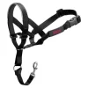 COMPANY OF ANIMALS - Collier d'entraînement pour chiens halti noir muselière (40-54 cm)